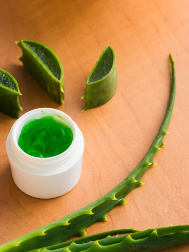 Aloe Vera Wonders: Unlocking the Multifaceted Benefits!